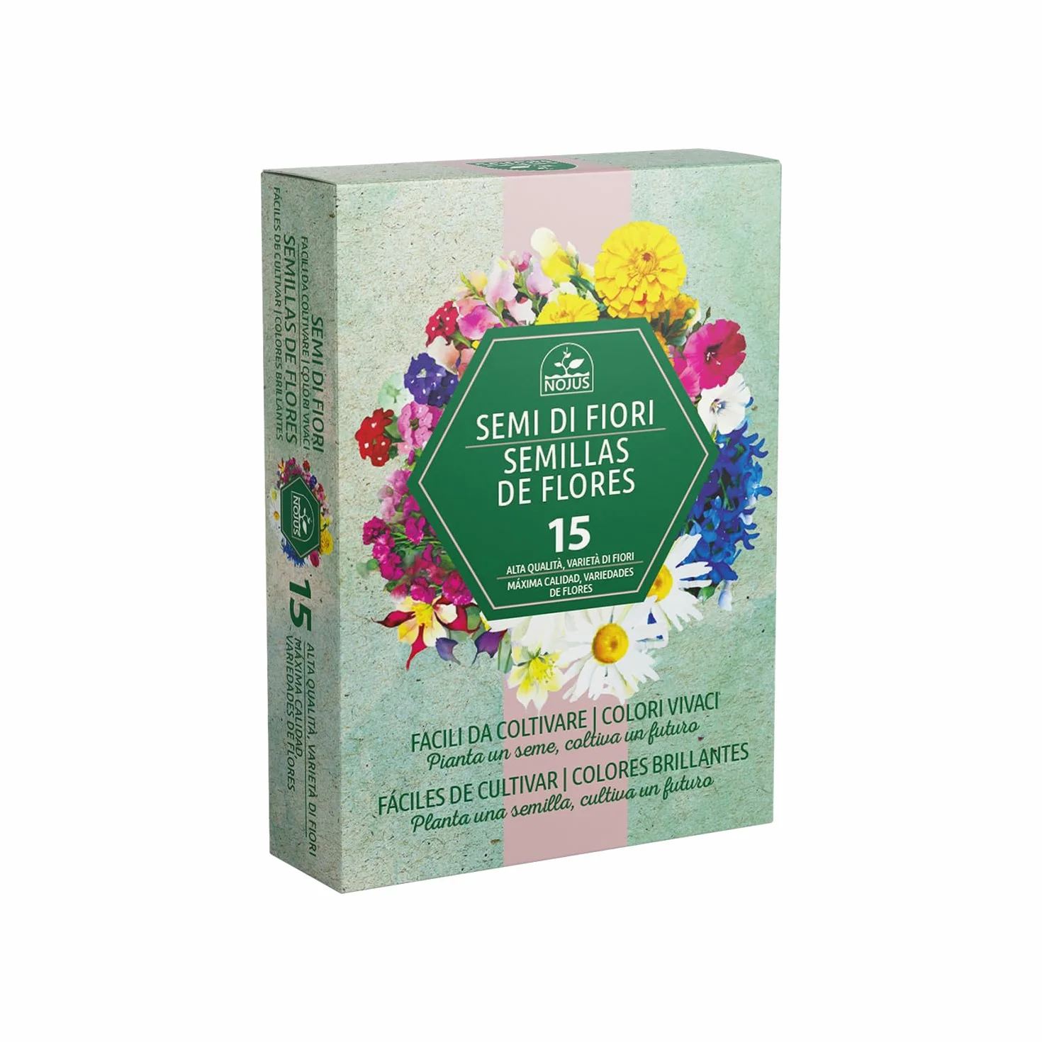 Flower Seed Collection Cottage Garden Border Favorites Non-GMO
