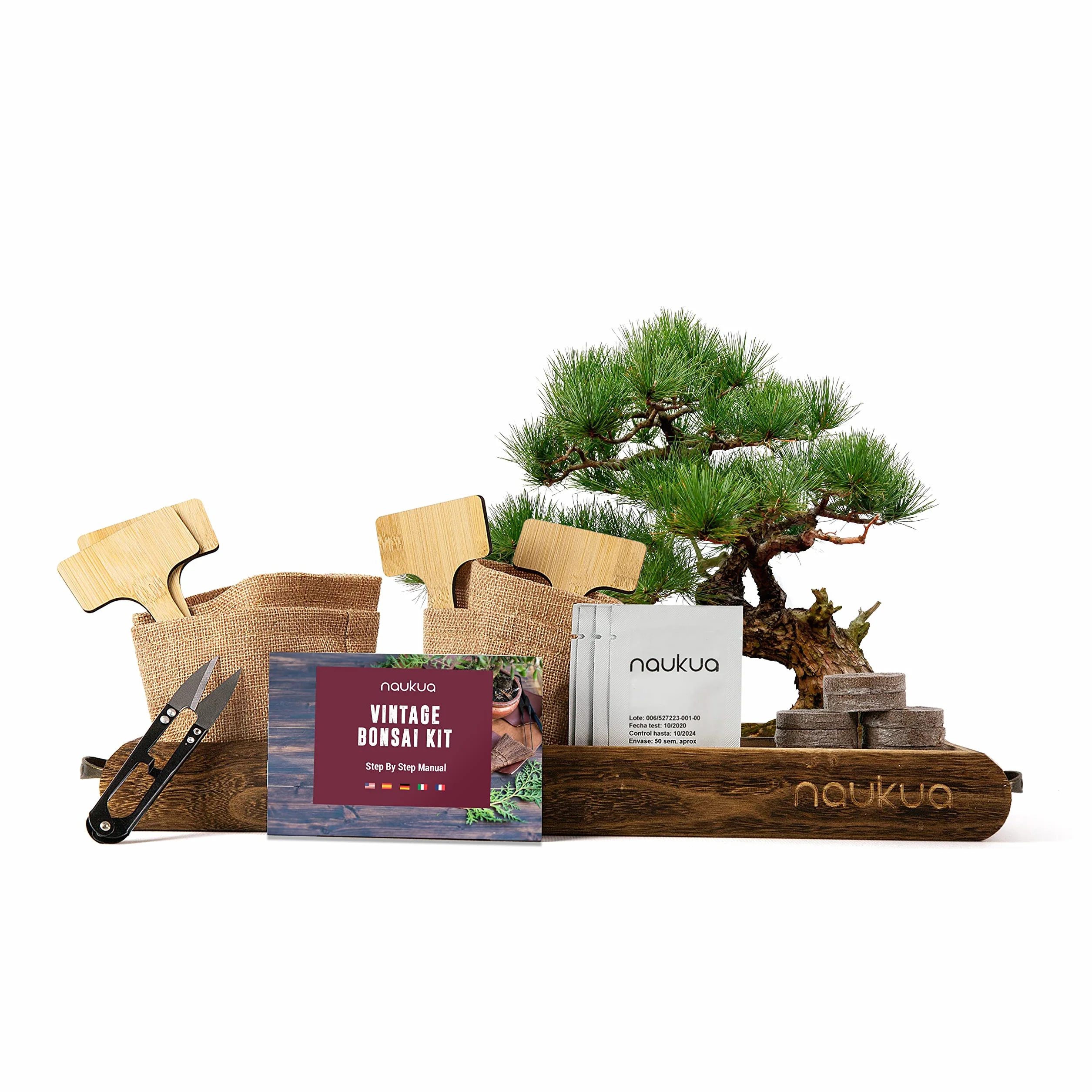 Kit Vintage Bonsai 4x Especies Semillas Orgánicas Guía Completa Plantación