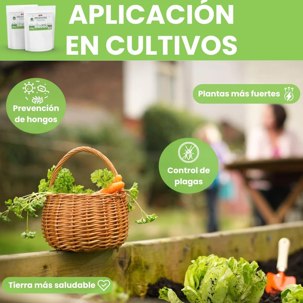 Remi Hogar Tierra de Diatomeas Micronizada 1 kg Ecológico Ultrafina para Huerto Jardín