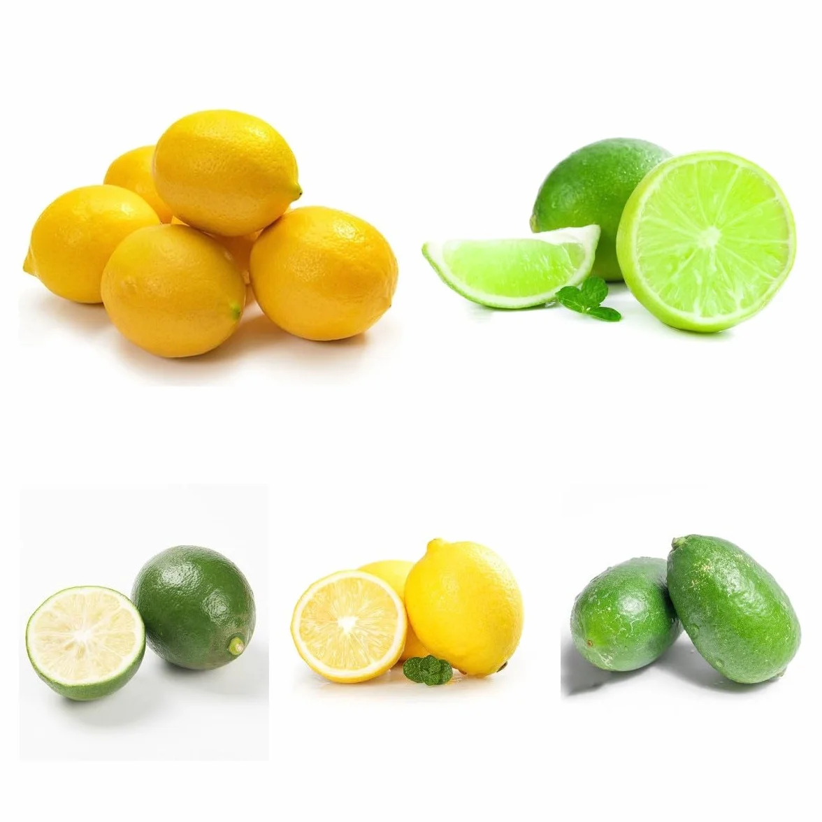 Semillas de Limonero Resistentes 120 Piezas Limón Cítrico Fruta Fresca Plantas de Balcón
