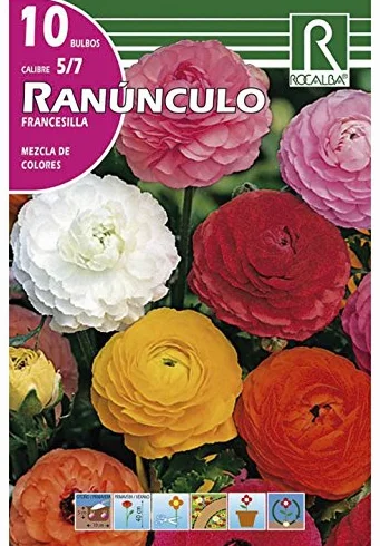 RANUNCULO FRANCESILLA MEZCLA DE COLORES 10 BULBOS