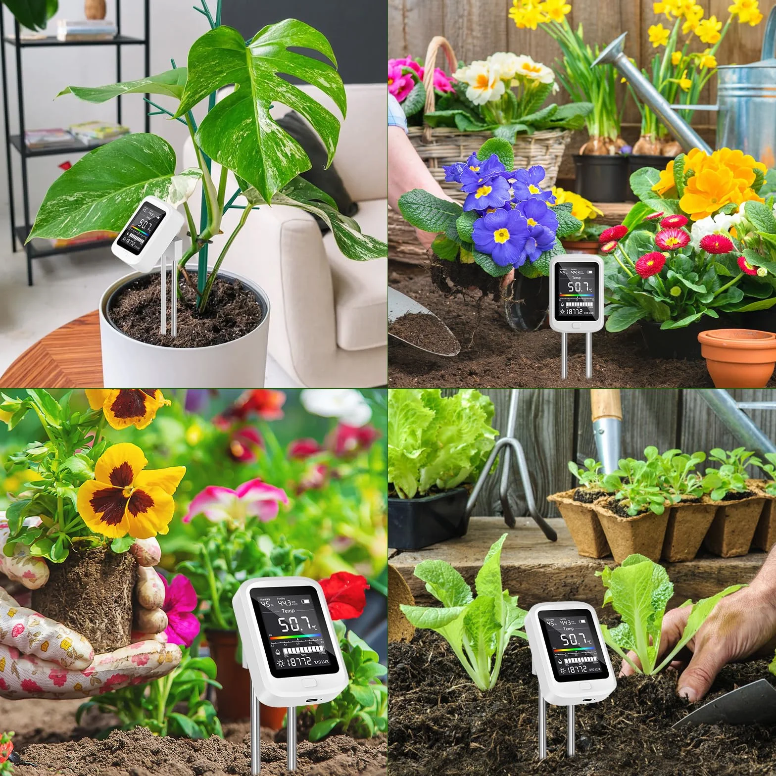 Medidor Digital de Suelo 6 en 1, Pruebas de pH e Intensidad Luminosa para Plantas