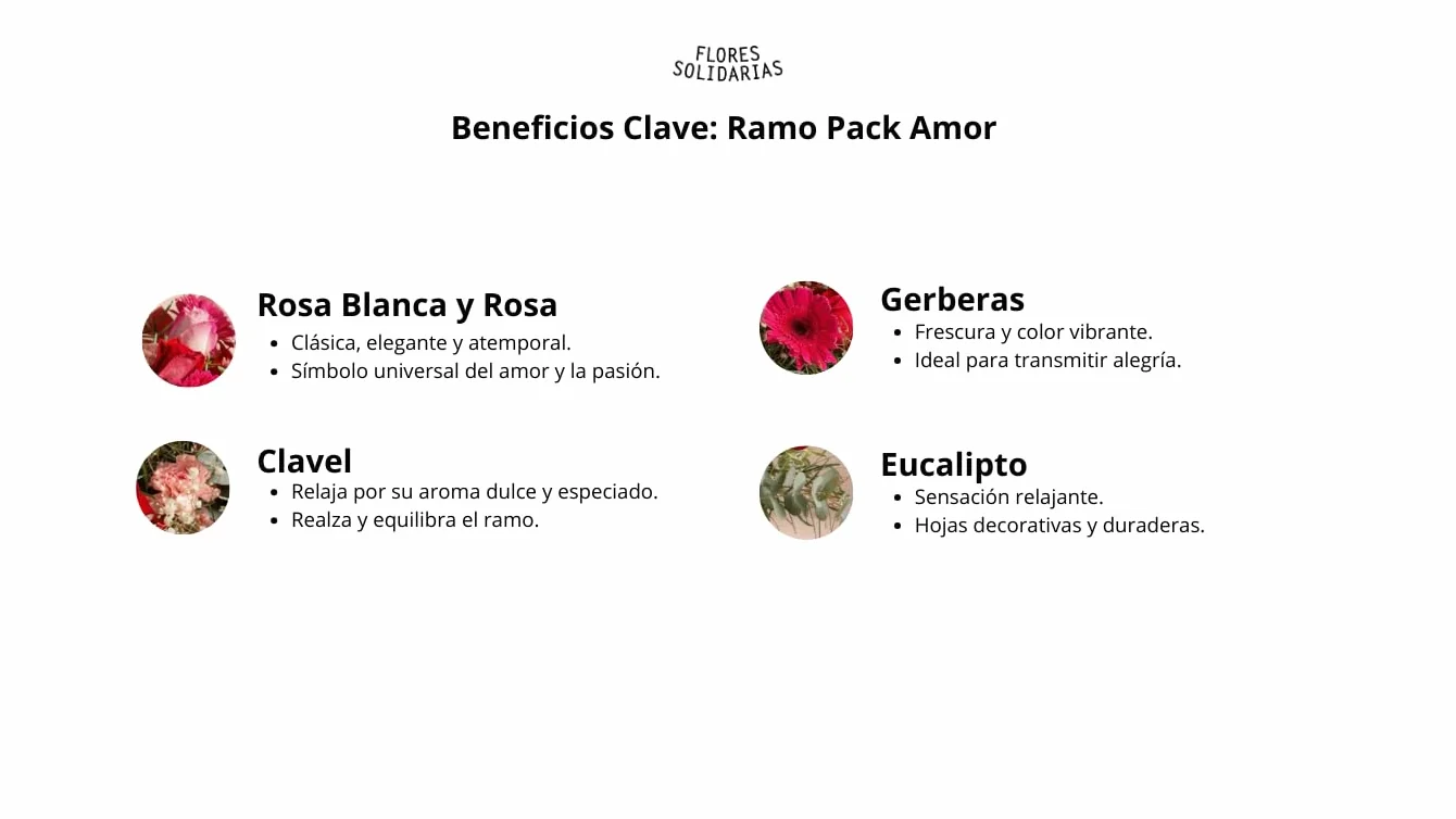 Ramo de Flores Naturales Gerberas con Taza y Peluche Regalo San Valentín
