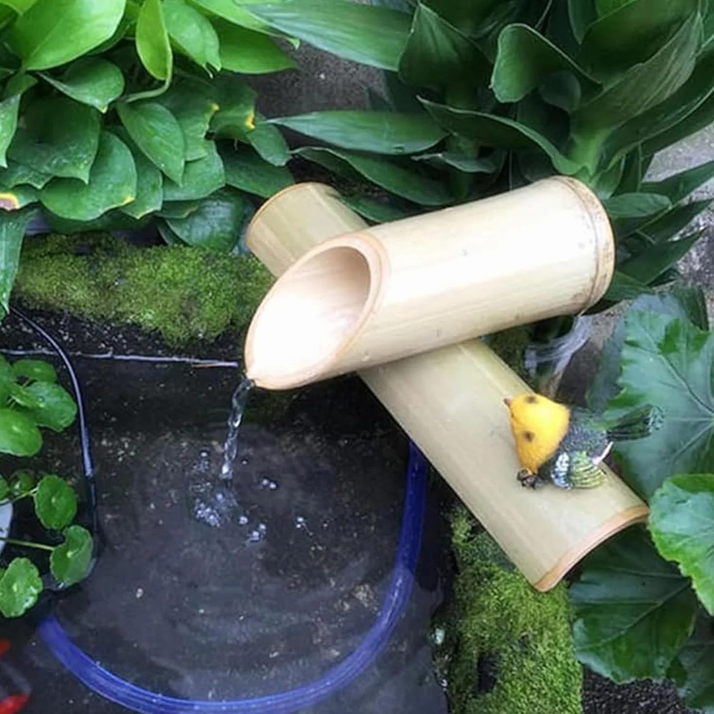 Kit De Fuente Solar De Bambú: Fuente De Agua Artesanal para Jardín Zen, Cascada Exterior Y Bomba Japonesa para Patio, Jardín, Bebedero para Pájaros, Estanque Y Decoración 7.9in(20cm)