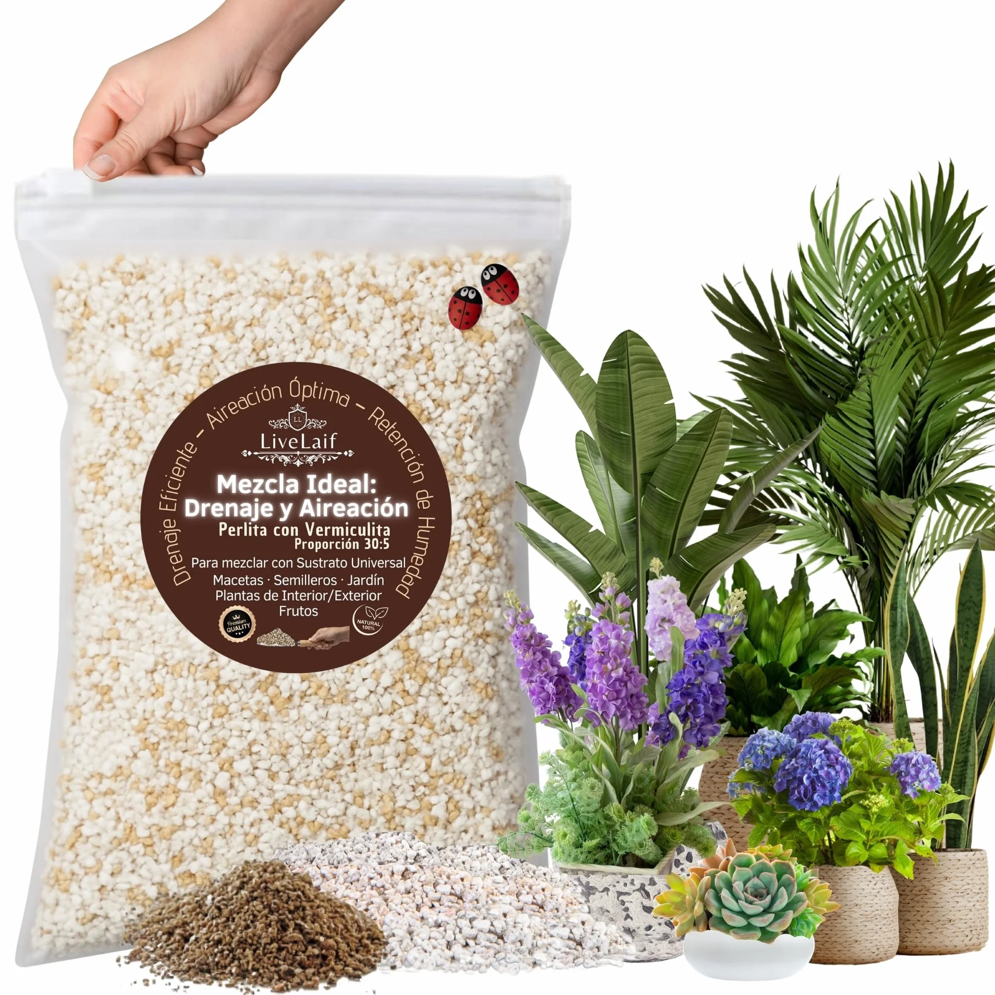 Mezcla Perlita con Vermiculita para Plantas 3L | Sustrato Universal para Suculentas, Orquideas y Macetas