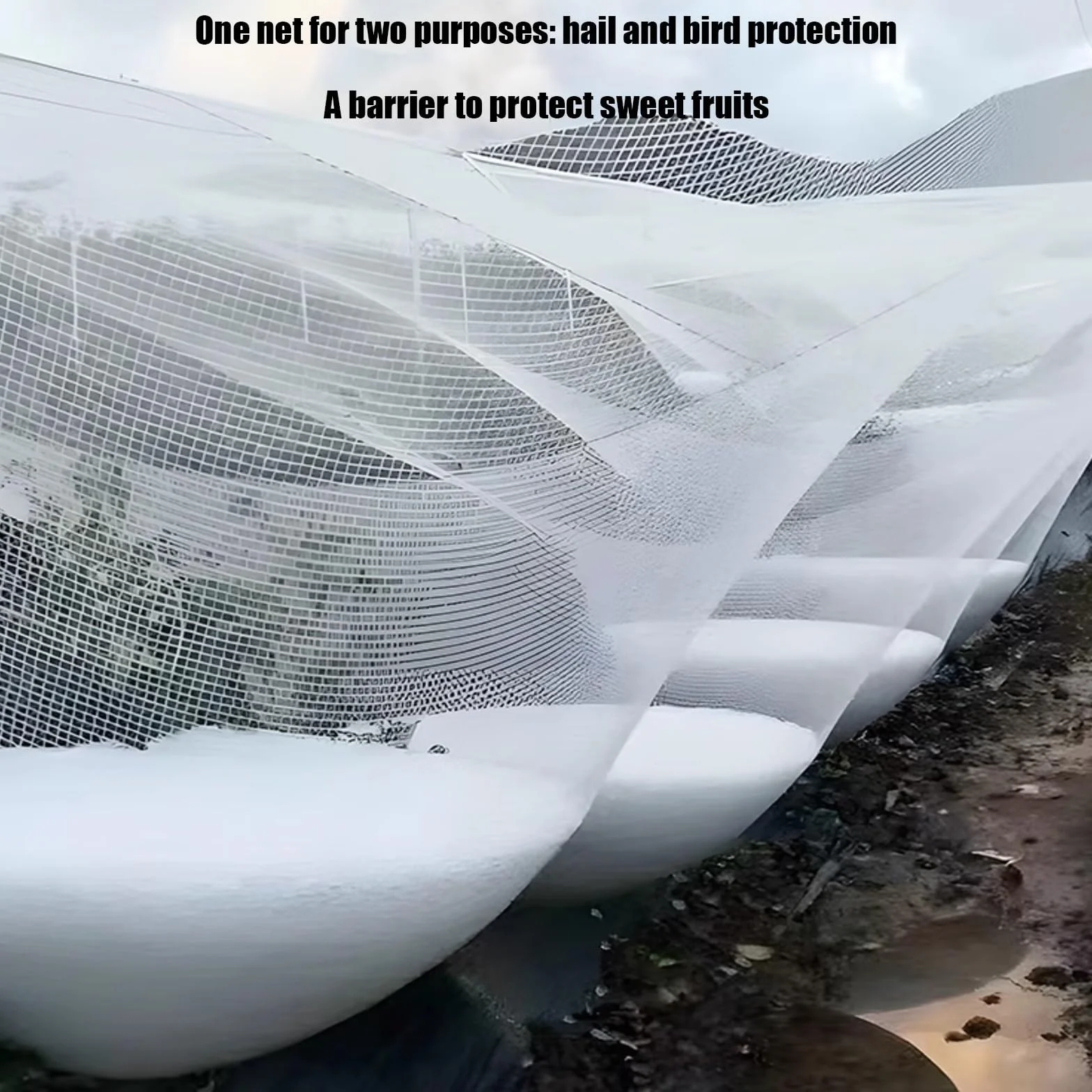 Red de protección para jardín, malla duradera antigranizo, antipájaros para plantas, verduras y árboles frutales, barrera versátil contra plagas y clima