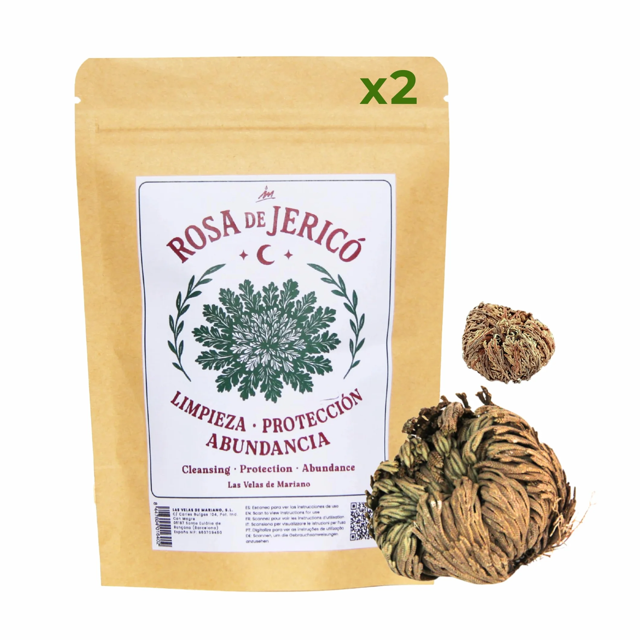 Rosa de Jericó Planta Natural de Resurrección Prosperidad y Protección 2 Rosas