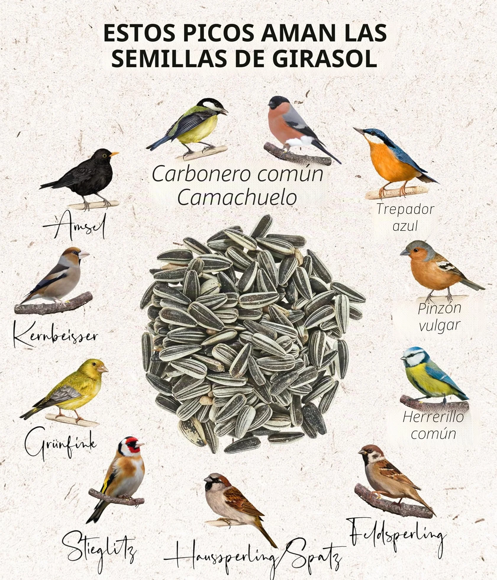 Dehner Natura Alpiste para Aves Silvestres Pipas de Girasol 5 l 2,2 kg