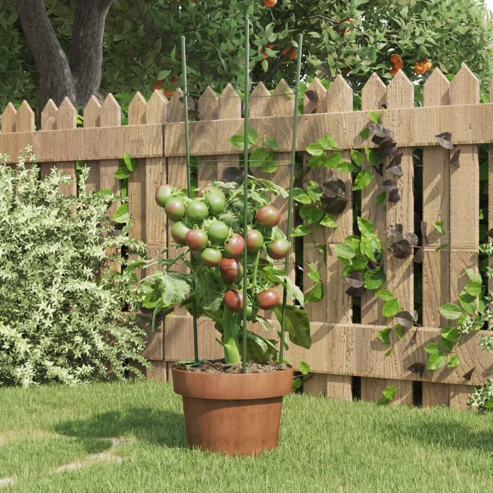 Soportes resistentes para plantas trepadoras, con 3 anillos para verduras, 5 unidades de acero para tomates y pepinos