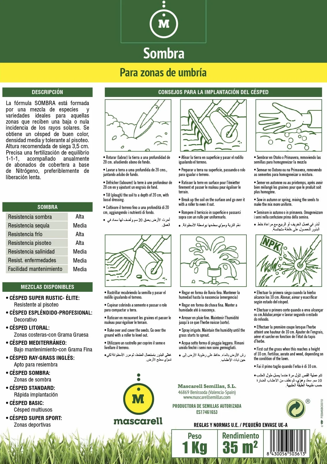 Mascarell Semillas de Césped SOMBRA 1KG Compacto Resistente