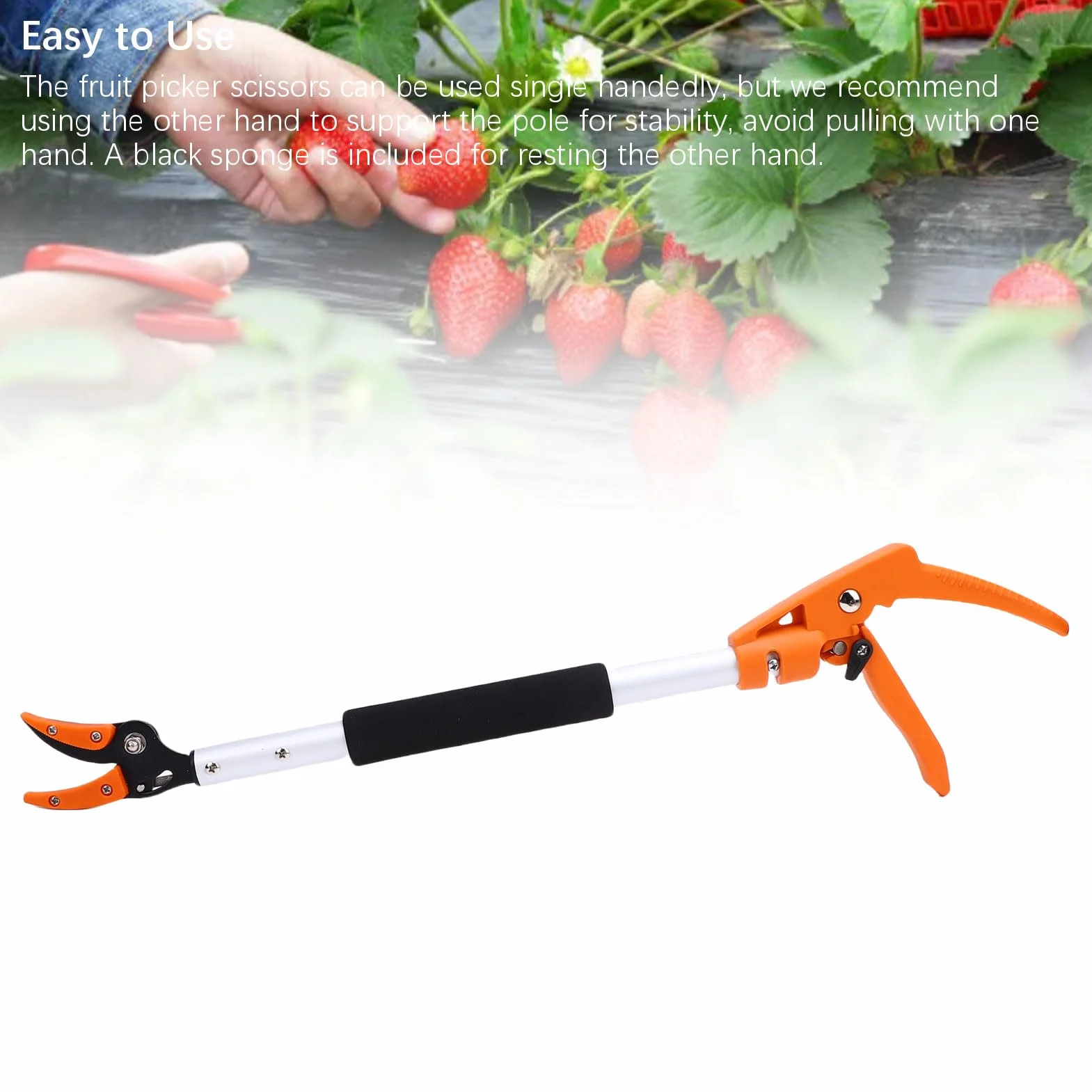 Tijeras profesionales para recolectar frutas de 2 pies, diseño ergonómico, ideal para cosechar fácilmente en huertos, aleación de aluminio, 1 pieza