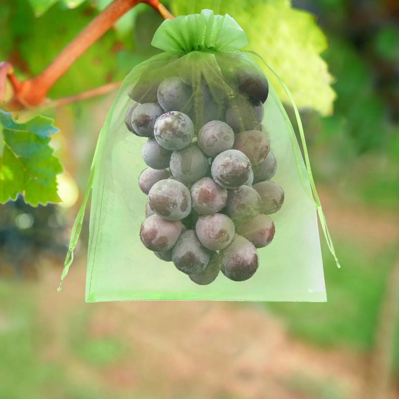 Bolsas Protectoras para Uvas 20x30 cm 50 Piezas Malla de Protección con Cordón