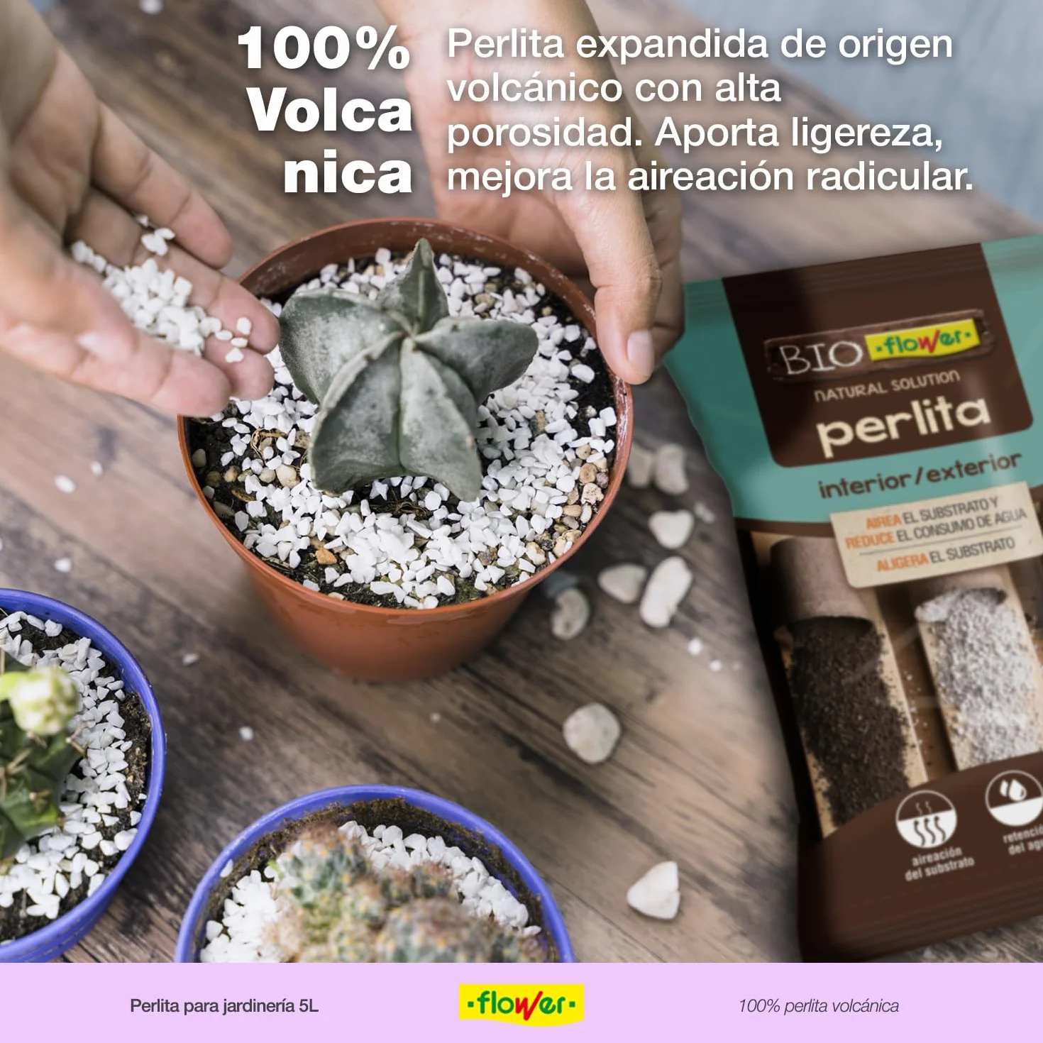 Perlita 5 L para Jardinería Drenaje Aireación Macetas Hidropónica