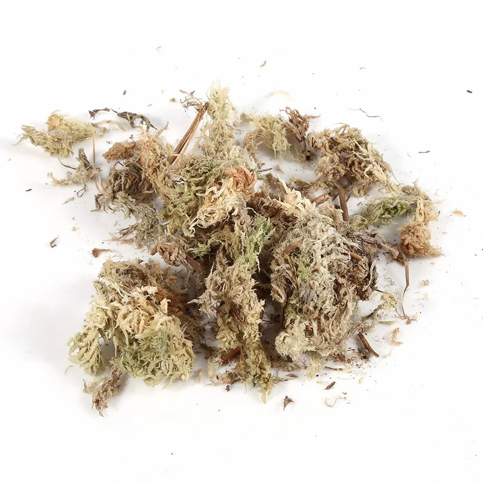 Musgo de Fertilizante Orgánico para Phalaenopsis Orchid Sphagnum Moos 6L
