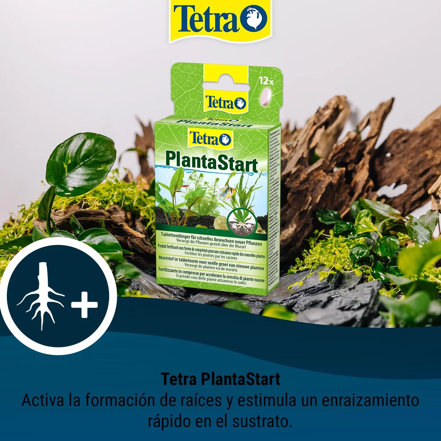 Tetra PlantaStart 12 tabletas estimulante crecimiento plantas trasplantadas