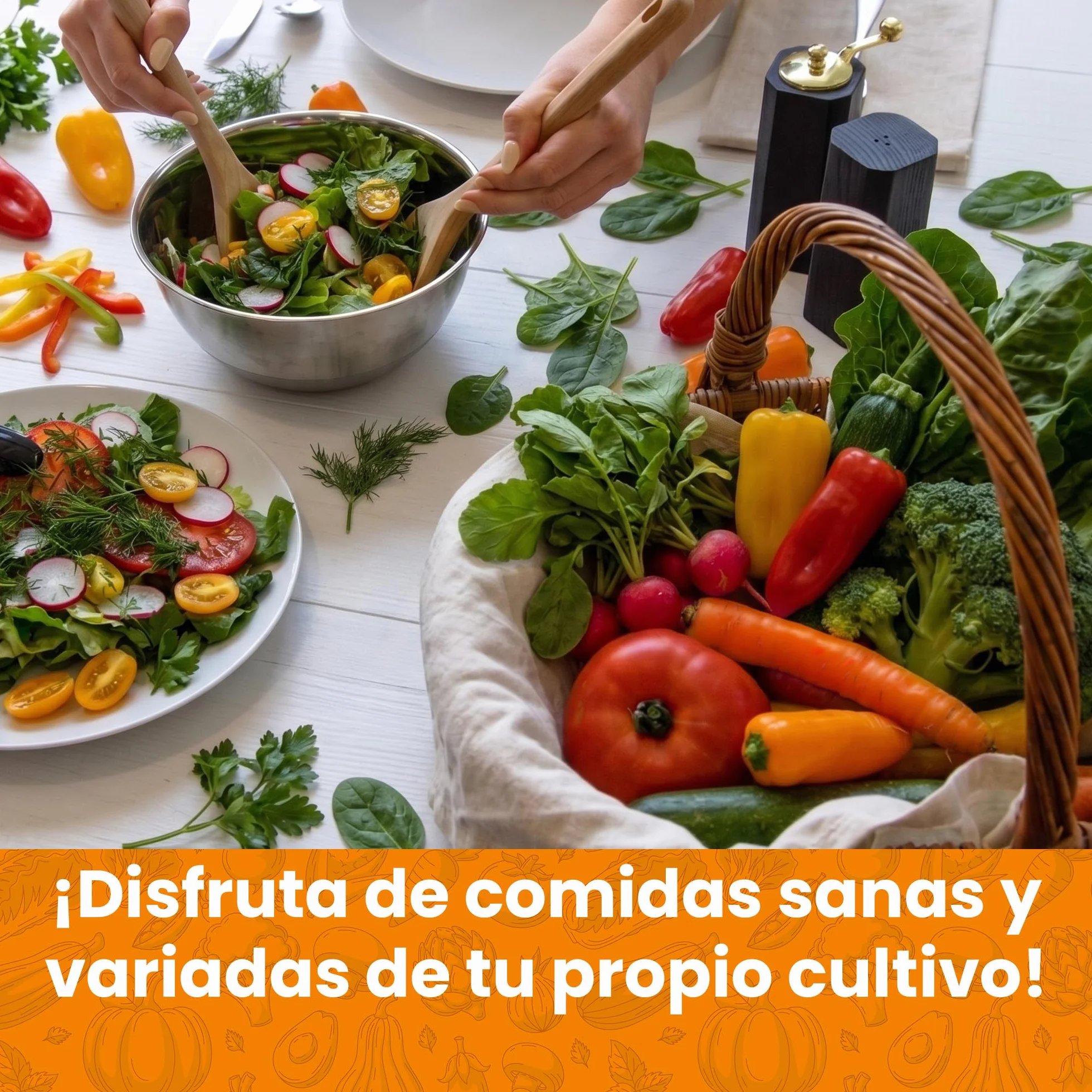 Set de Semillas de Vegetales 15 Variedades TORAF – Tomate, Pepino, Pimiento, Calabacin, Brócoli, Rúcula