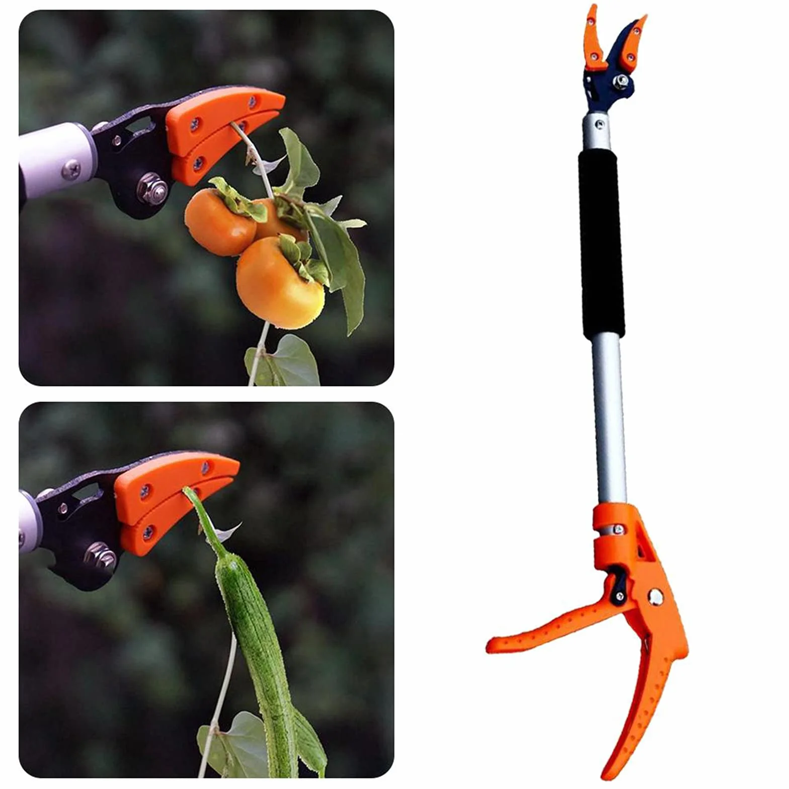 Podadora telescópica de derivación de poda – Recolector de frutas extralargo de 0,6 m y herramienta de corte de jardín para un corte y corte eficientes