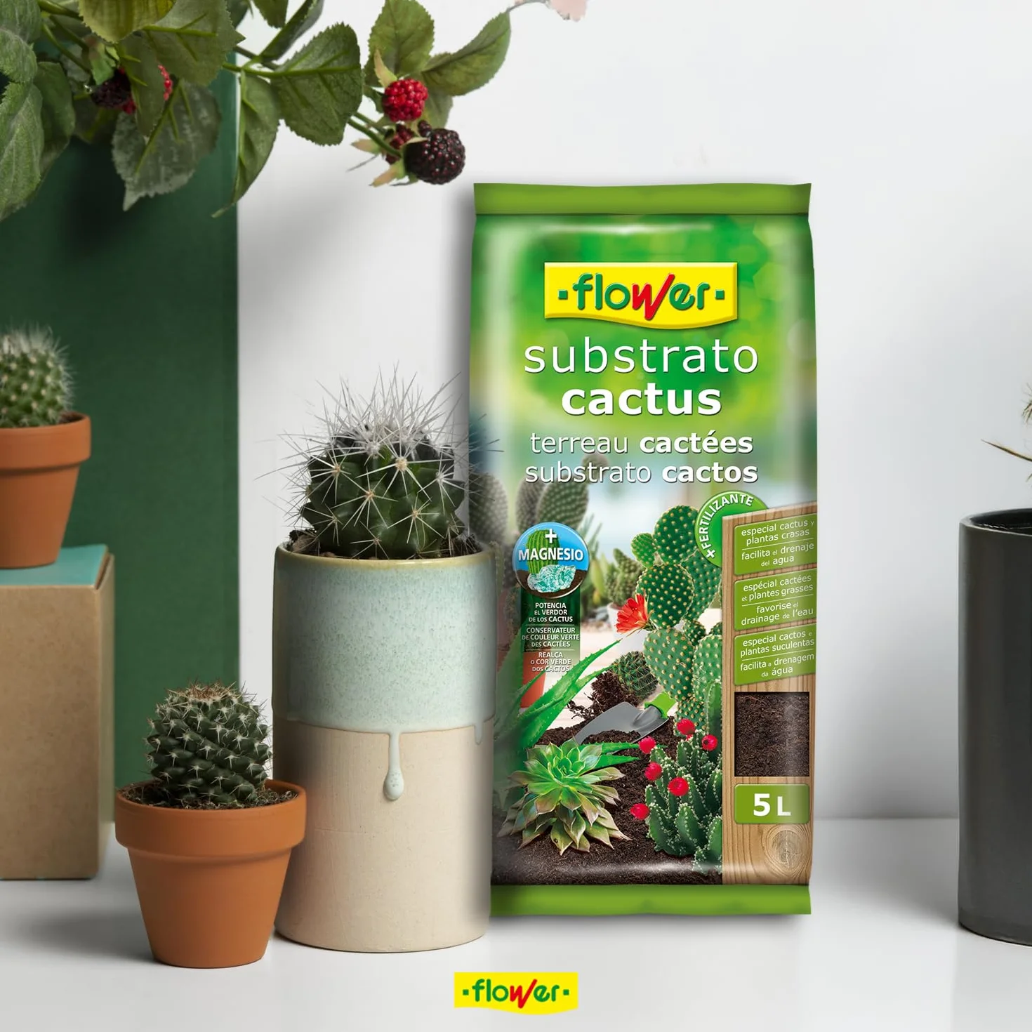 Sustrato para Cactus y Crasas 5 L con Áridos, Piedra Volcánica y Abono