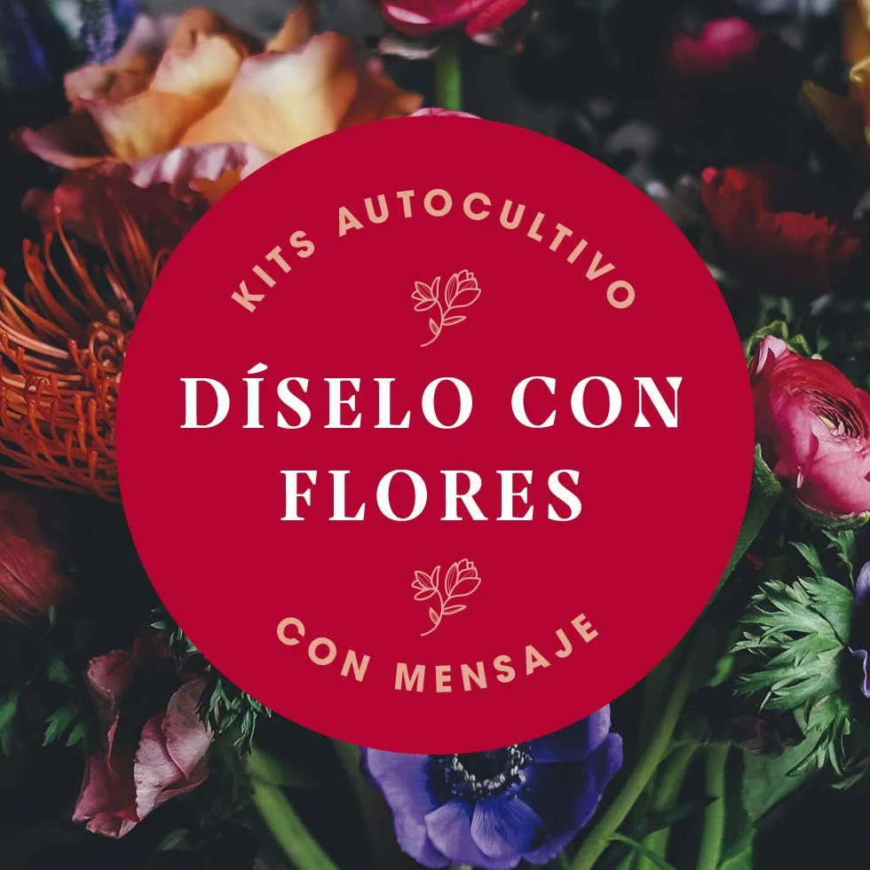 Díselo con Flores Gracias Kit Autocultivo Flores Silvestres Naranjas Regalo Original Artesano Emocional Caléndula Pimpinela Escarlata Clavel Moro