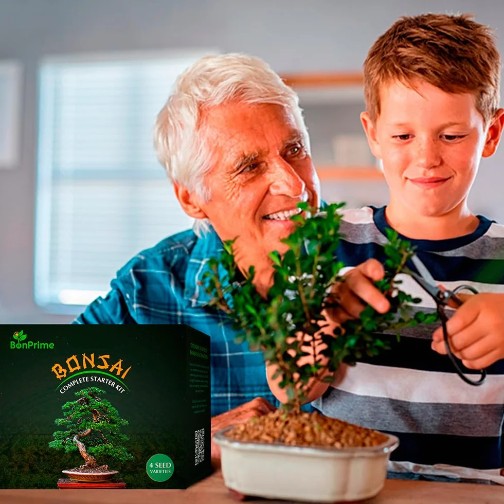 Kit Bonsai para Principiantes - Set de Cultivo con 4 Semillas, Macetas de Bambú, Turbas, Marcadores, Pinzas y Spray