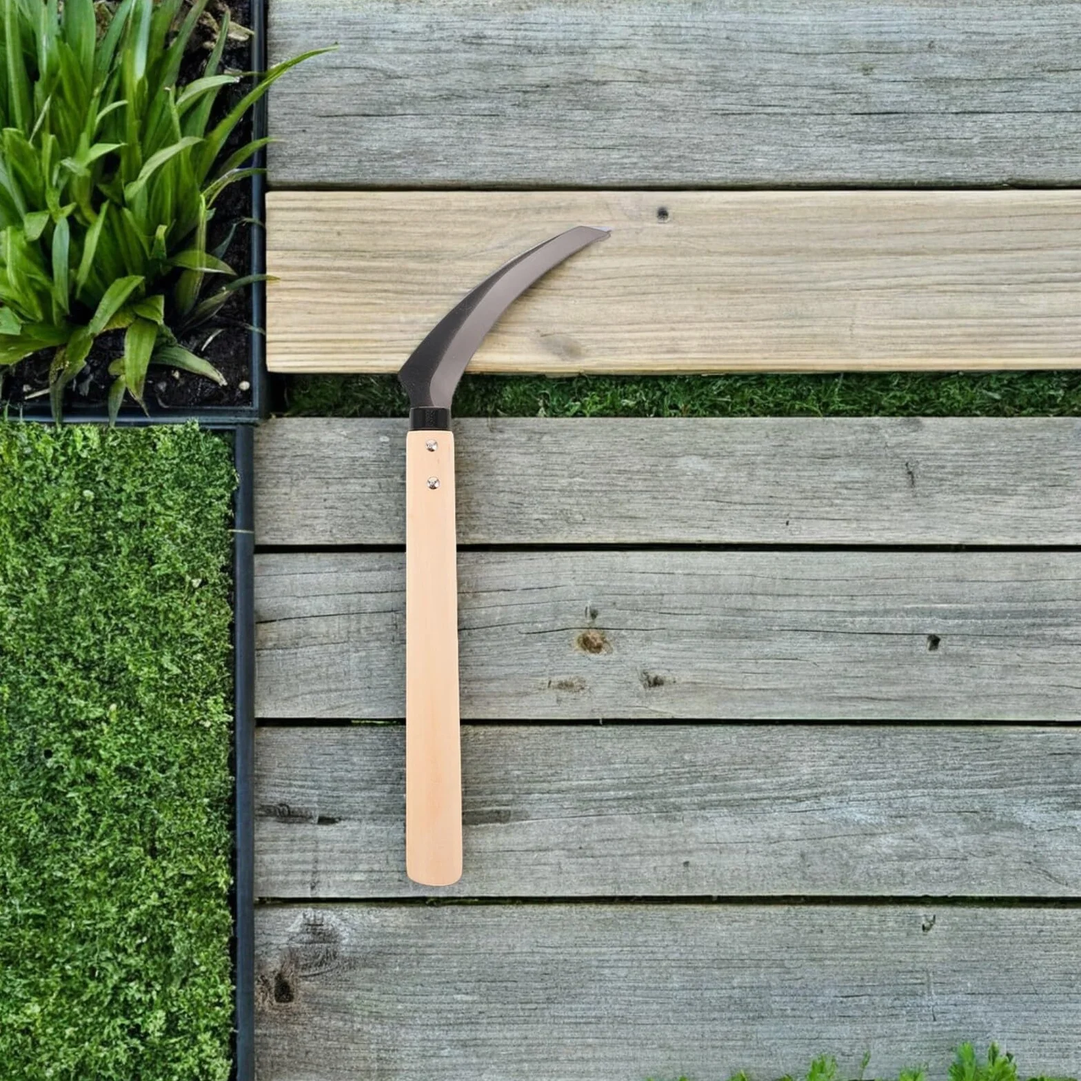 TOYANDONA Hoz Dentada de Acero con Mango de Madera para Corte de Césped y Maleza Herramienta Multifuncional para Jardinería Pesca y Deshierbe Tamaño Mediano Corte Preciso y Resistente