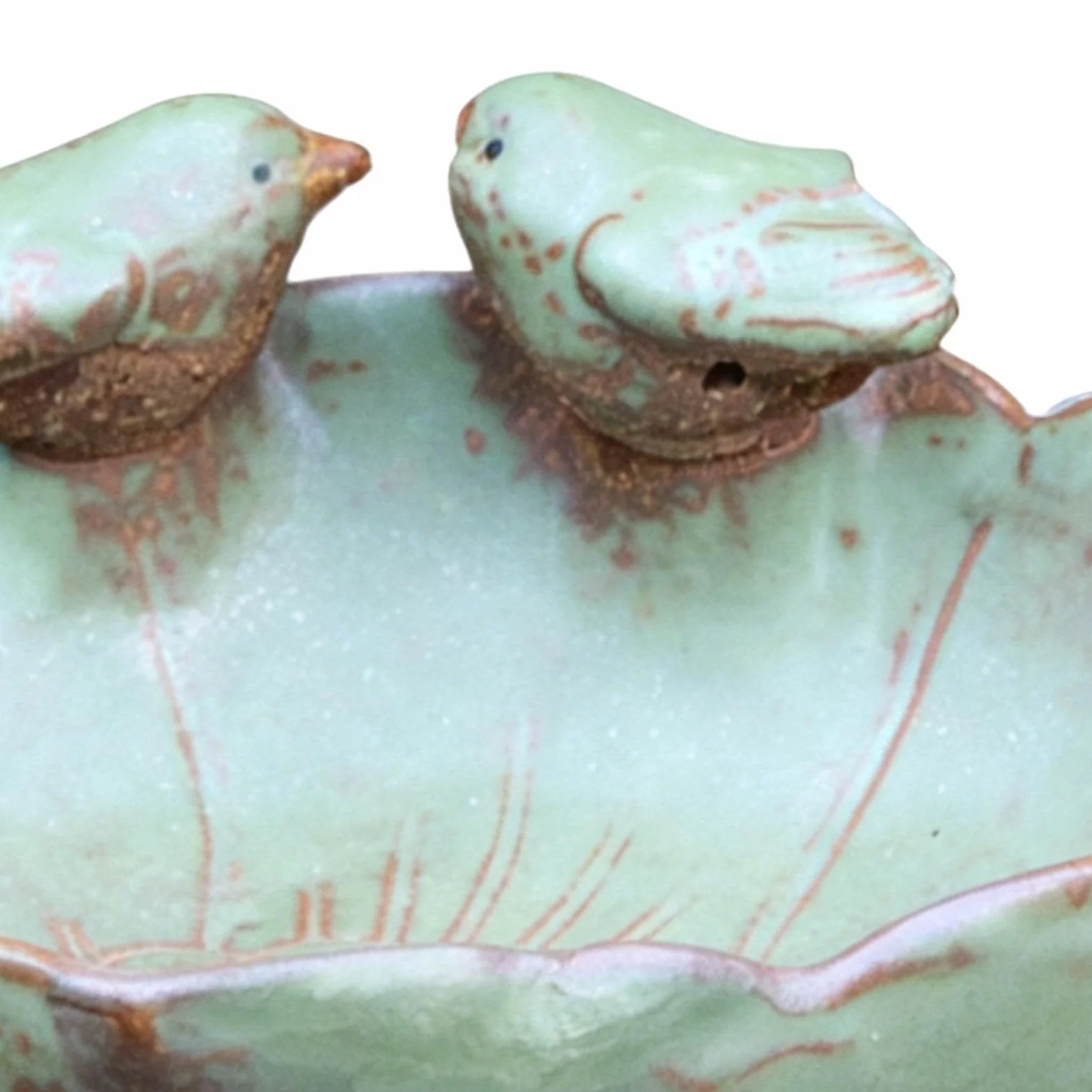 Bebedero para Aves de Suelo Gran Decorativo | Cuenco de Cerámica para Agua y Macetero Hidropónico para Jardín Interior Exterior, Patio, Balcón, Ventana, Terraza