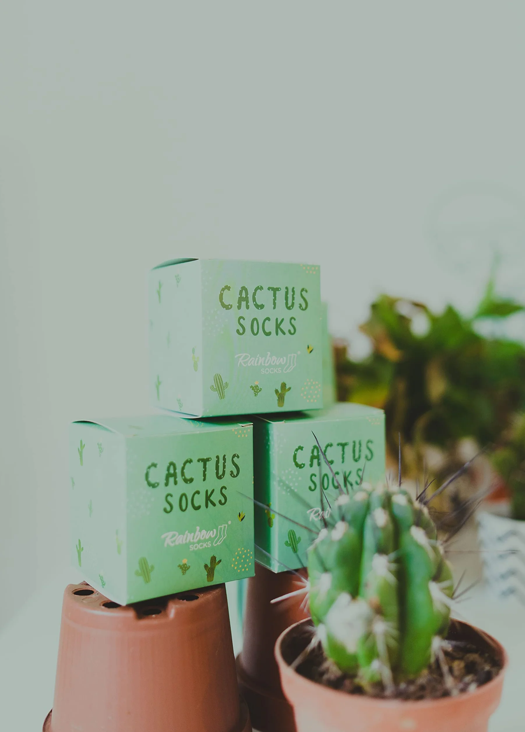 Calcetines Cactus Verdes para Mujer y Hombre Regalo Divertido Talla 36-40