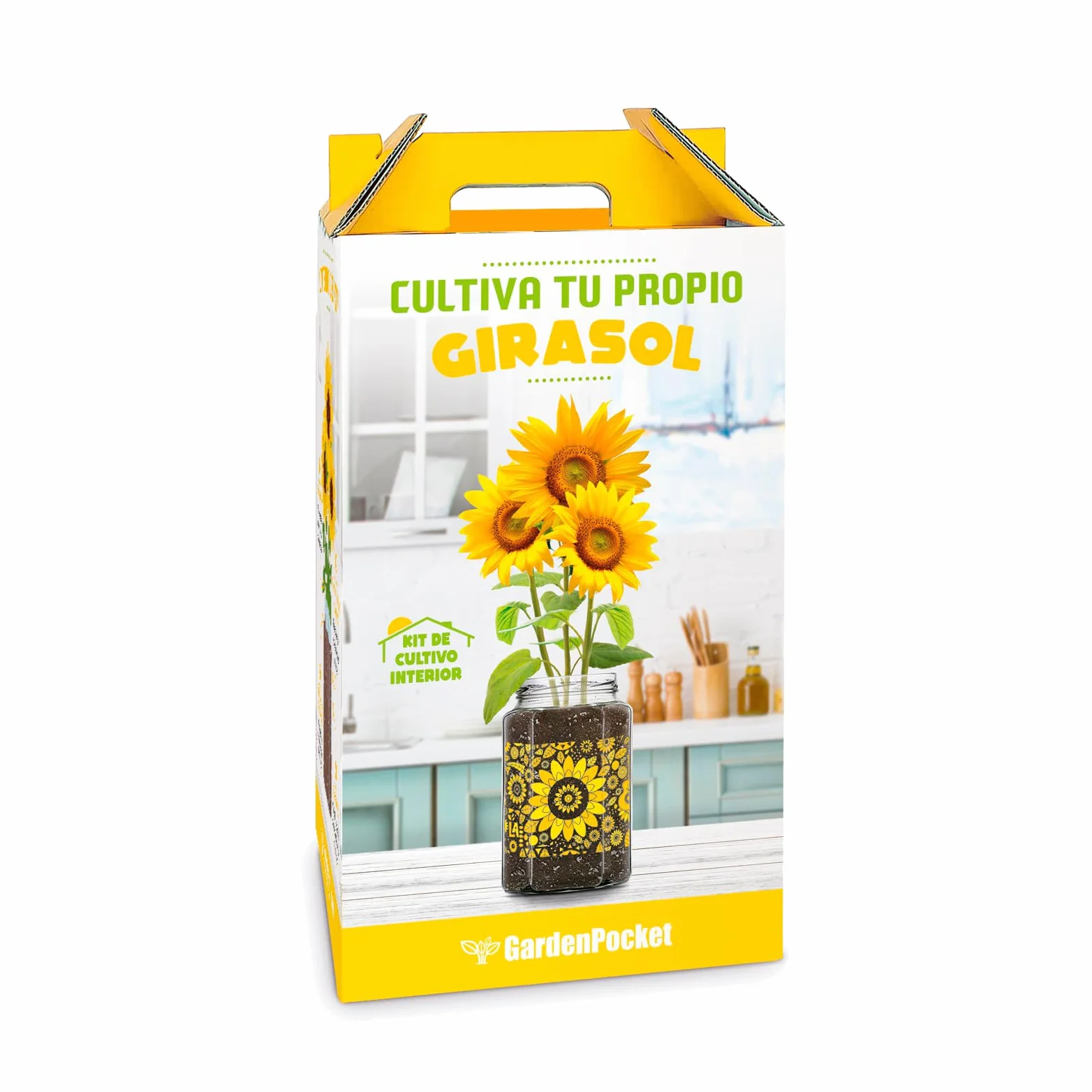 Kit Cultivo Girasol Interior Tarro Cristal Decorativo Semillas Sustrato Drenaje Regalo Casa Oficina