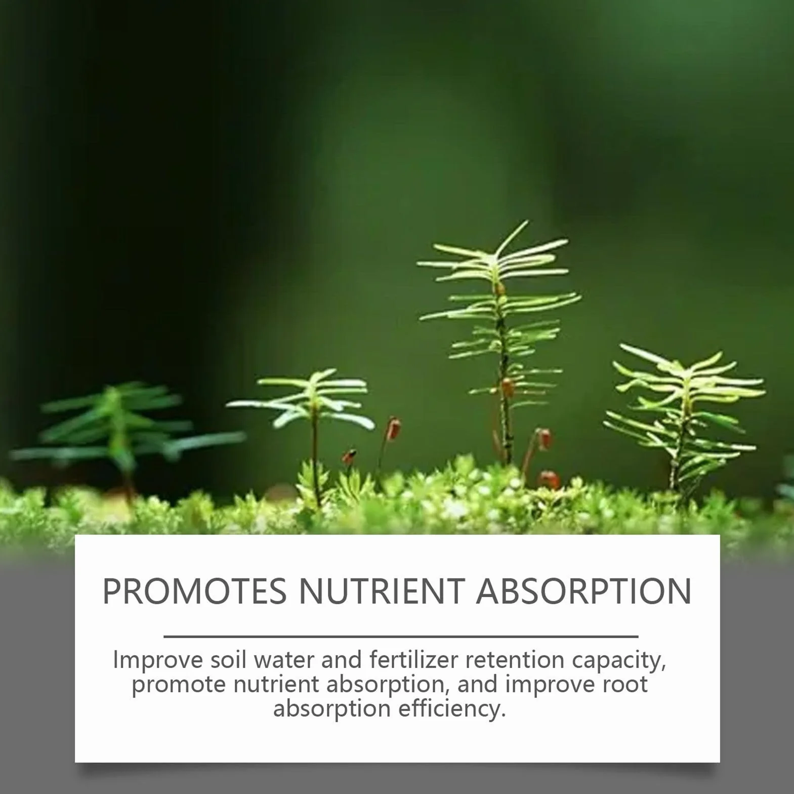 Revitalizador del Suelo Promueve Crecimiento Raíces Mejorador Alimento Vegetal Plantas Césped Jardín