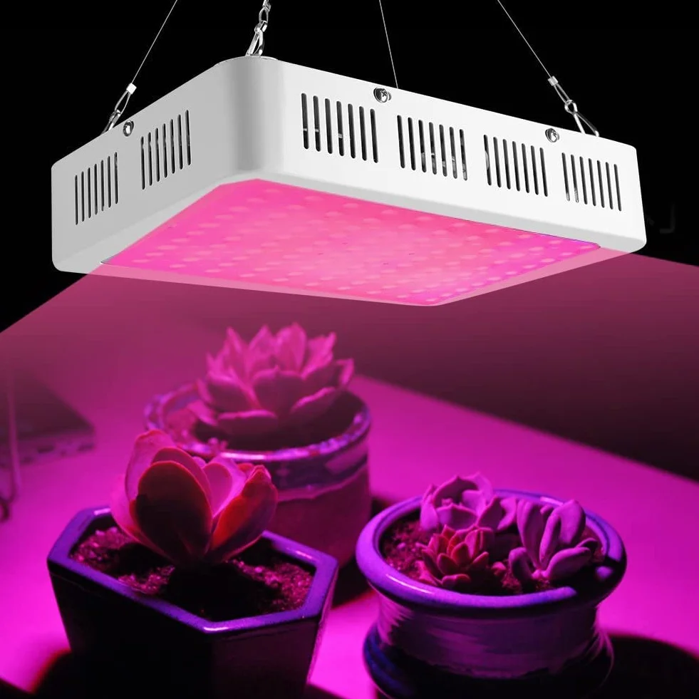 lampara de crecimiento 100 LED para Cultivo Hidropónicos VETS Luz de paneles de floración, para plantas de interior, Flores 1000w