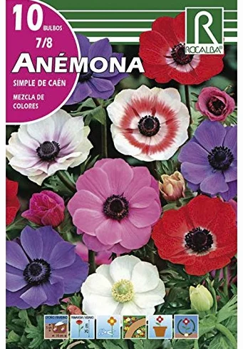 BULBO ANEMONA SIMPLE DE CAEN CORONARIA MEZCLA DE COLORES - 1