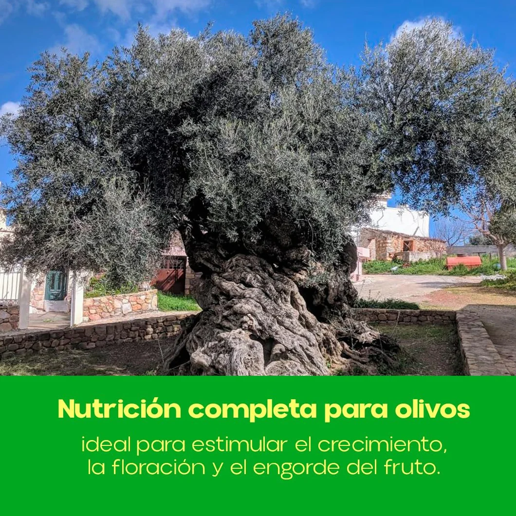 Fertilizante Soluble para Olivos 1Kg Granulado con Nitrógeno, Potasio y Boro | Nexum Market