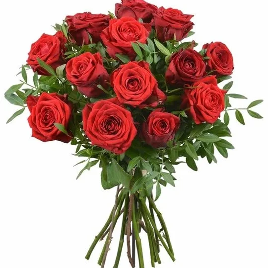 Ramo de Rosas Rojas Naturales 25 Rosas con Dedicatoria Personalizada Flores Frescas