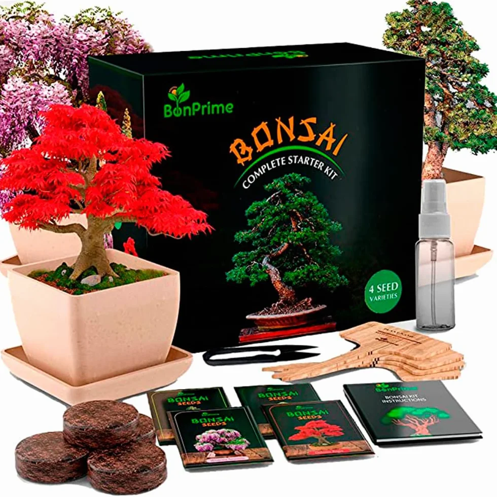 Kit Bonsai para Principiantes - Set de Cultivo con 4 Semillas, Macetas de Bambú, Turbas, Marcadores, Pinzas y Spray