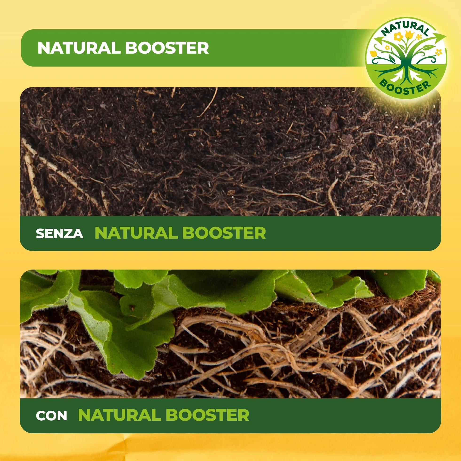 Solabiol Fertilizante tomates 100% orgánicos con estimulador radicular