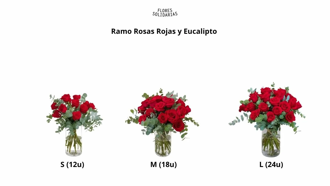 Ramos de Flores Naturales Rosas Rojas Eucalipto Fresco Regalo San Valentín