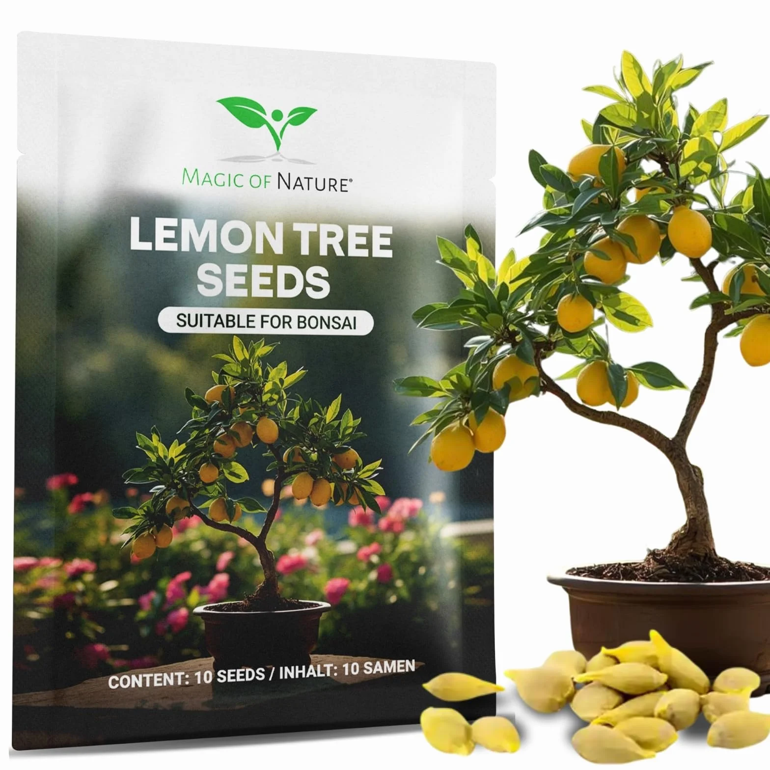 Semillas Limonero Mini 10 Uds Bonsái Planta Interior Perenne Maceta