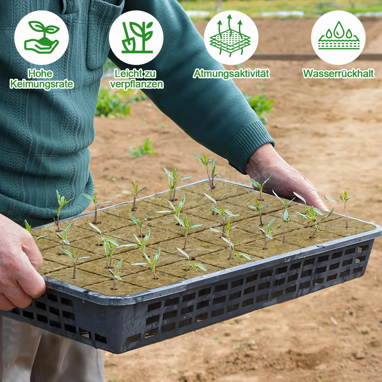 Cubos De Lana De Roca 56pcs 4 x 4 x 4 cm para Cultivo Hidropónico sin Suelo