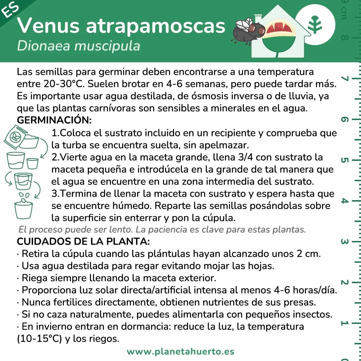 Planeta Huerto Kit de Autocultivo Planta Carnívora Venus Atrapamoscas