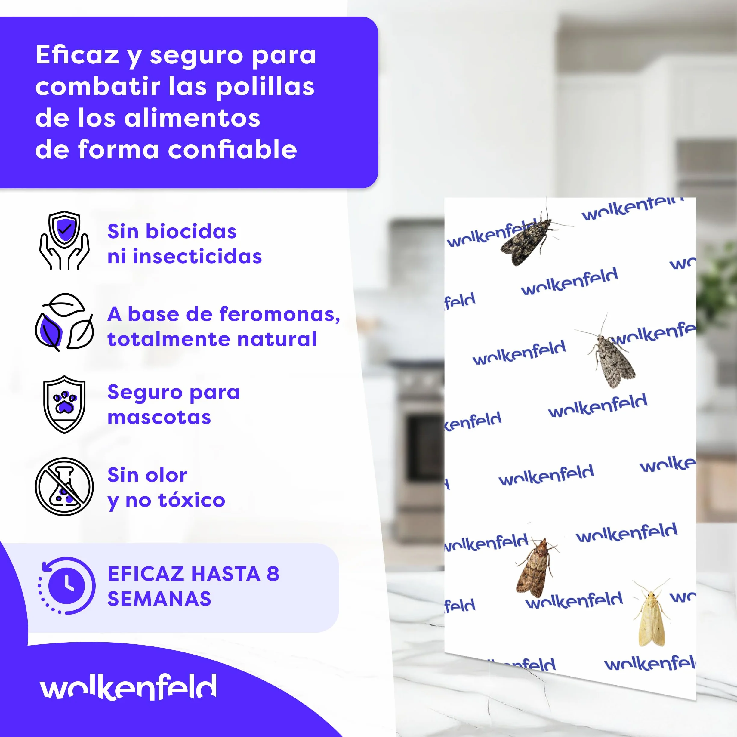 Wolkenfeld Antipolillas Cocina y Despensa 10x – Trampa Feromonas Polillas Alimentos 100% Natural sin Spray Biocidas Fabricado Alemania
