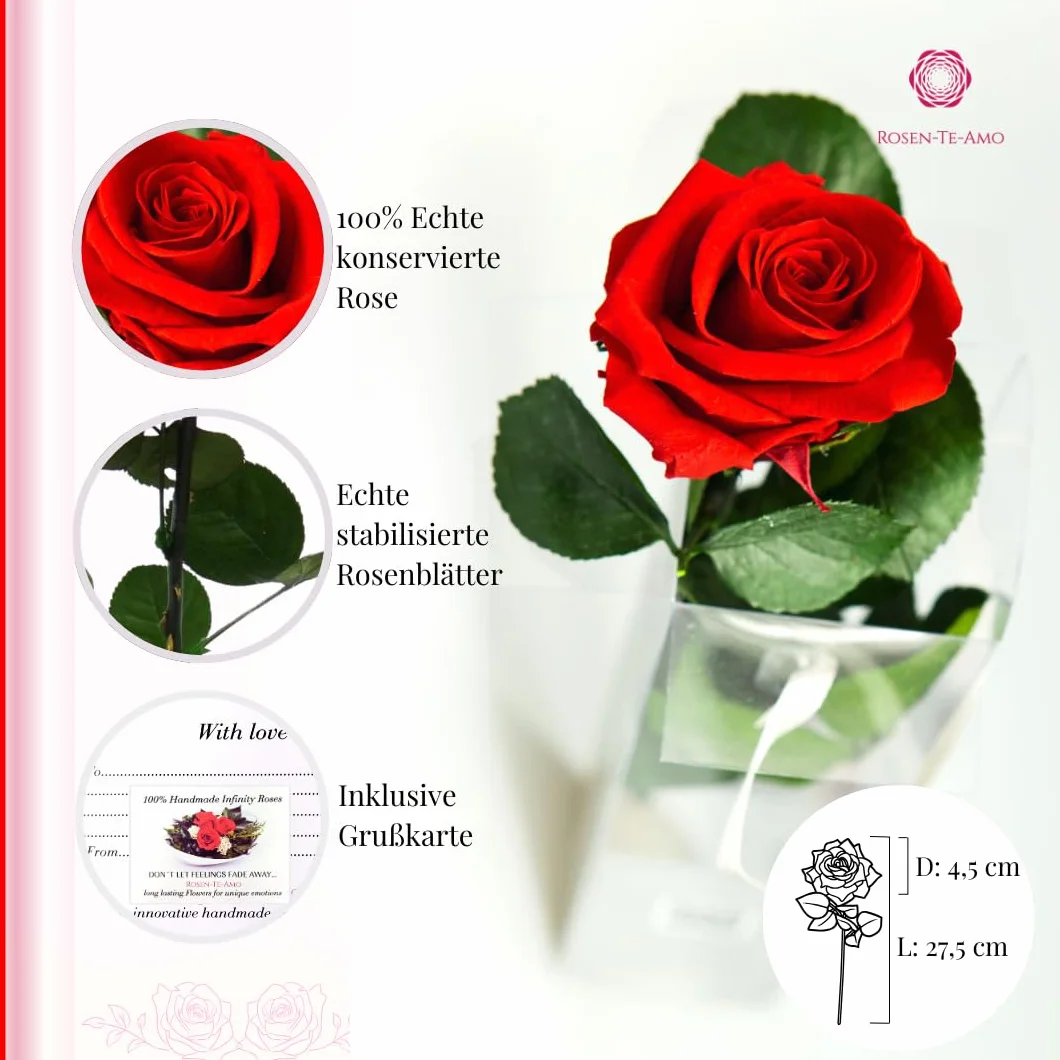Rosa eterna preservada roja caja regalo design refinado flores naturales domicilio decoracion hogar