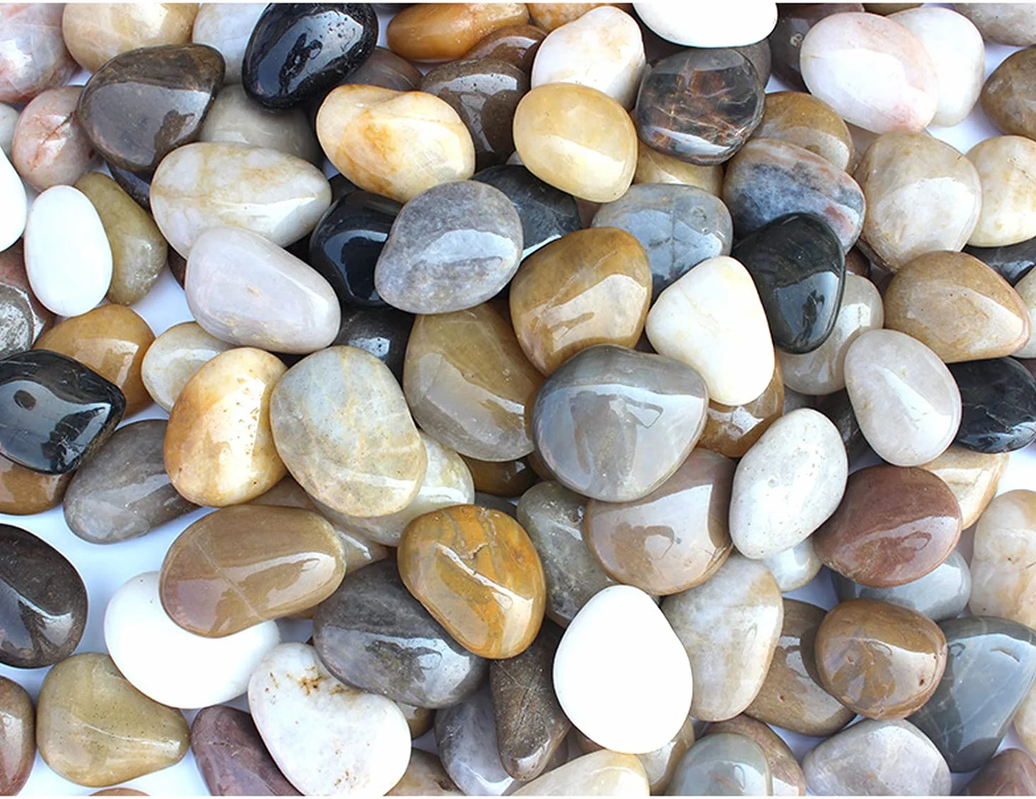 Guijarros Decorativos Naturales Pulidos 2-4 cm 900g Piedras de Jardín