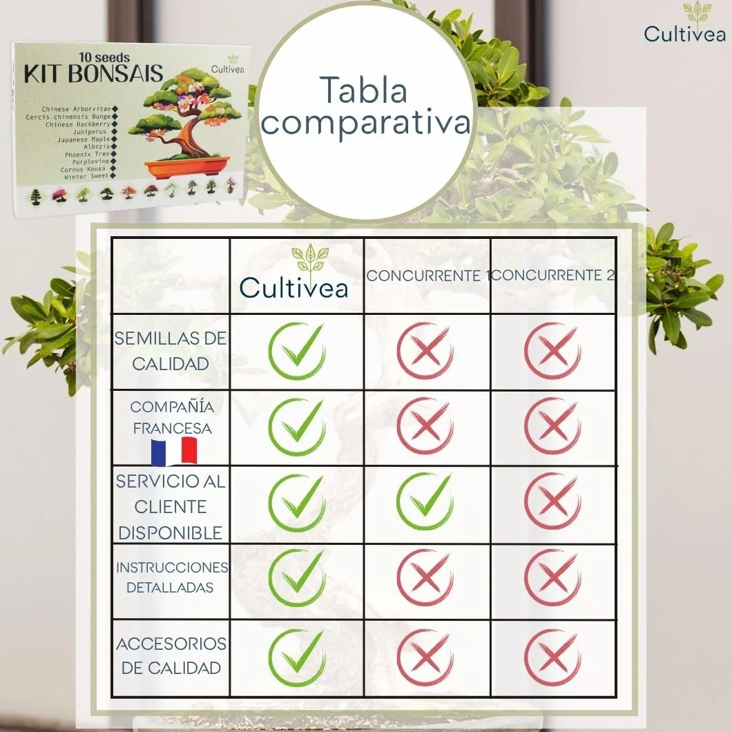 CULTIVEA® Kit 10 Bonsáis para Cultivar – Kit Cultivo Bonsái Completo con Semillas, Macetas y Herramientas