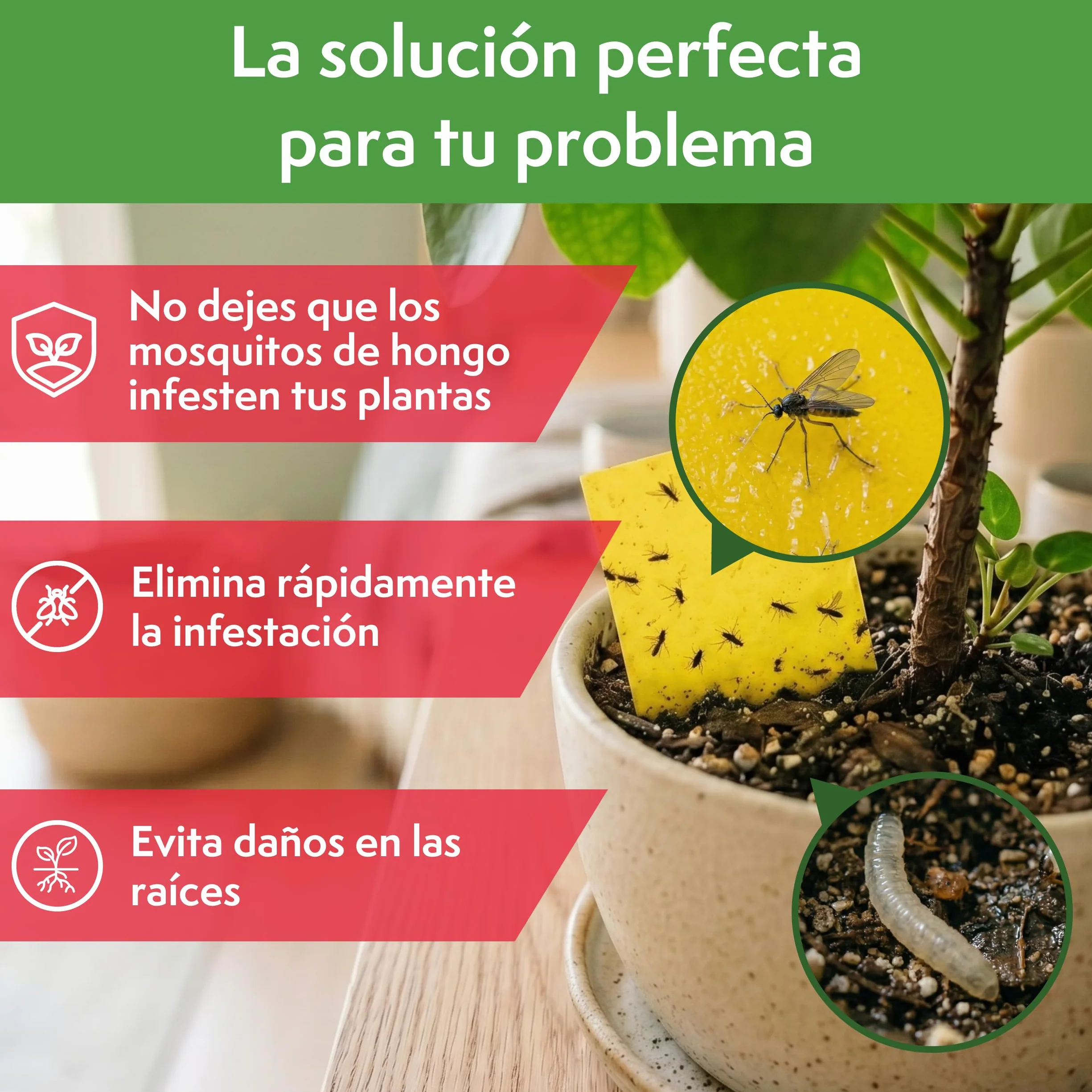 PATTLER Trampas Cromáticas Amarillas para Plantas 30 Unidades