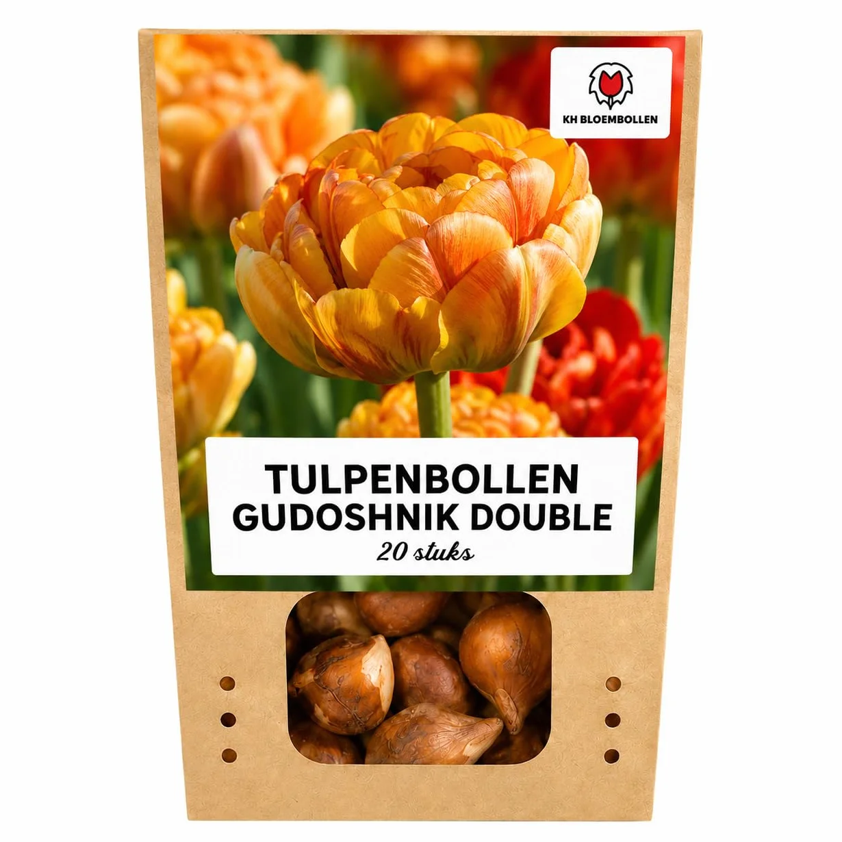 Bulbos Tulipán Gudoshnik Double, para Jardín, Multicolor, Set de 20 Bulbos