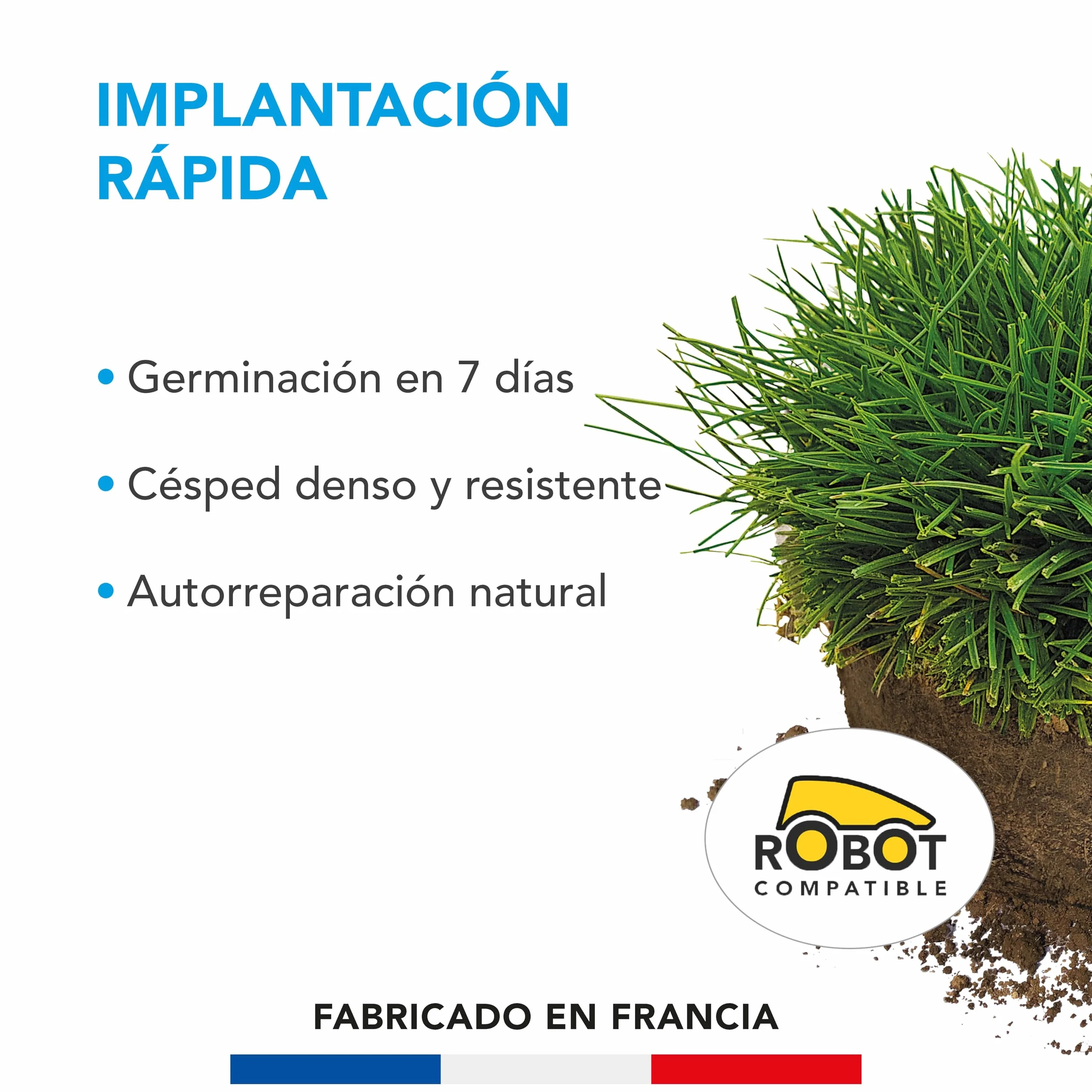 BARENBRUG Césped Implantación Rápida 5 kg Germinación 7 Días Alfombra Densa Resistente
