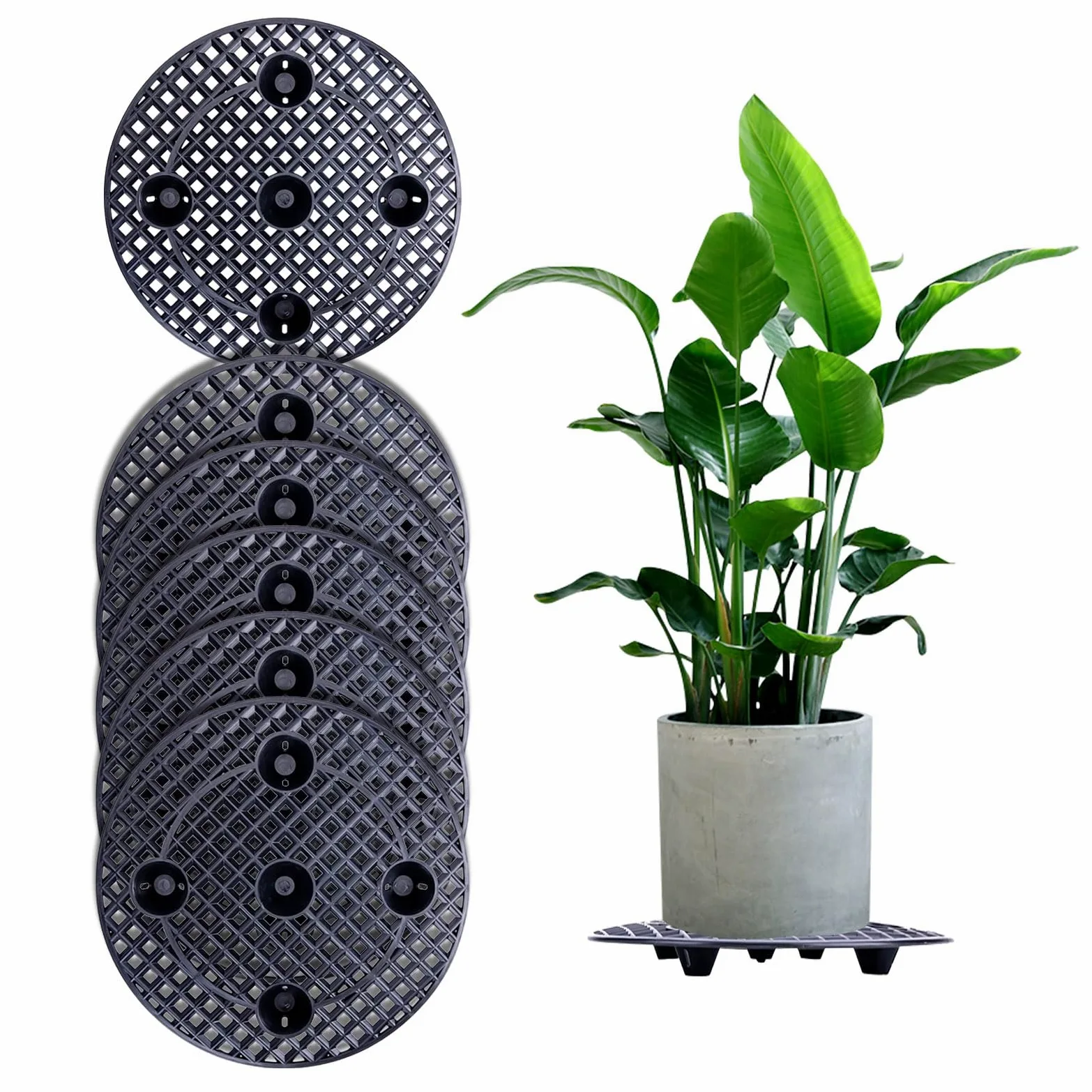 BigKing - Juego de 6 elevadores de macetas redondas negras para proteger el interior y el exterior en la terraza (40 cm)