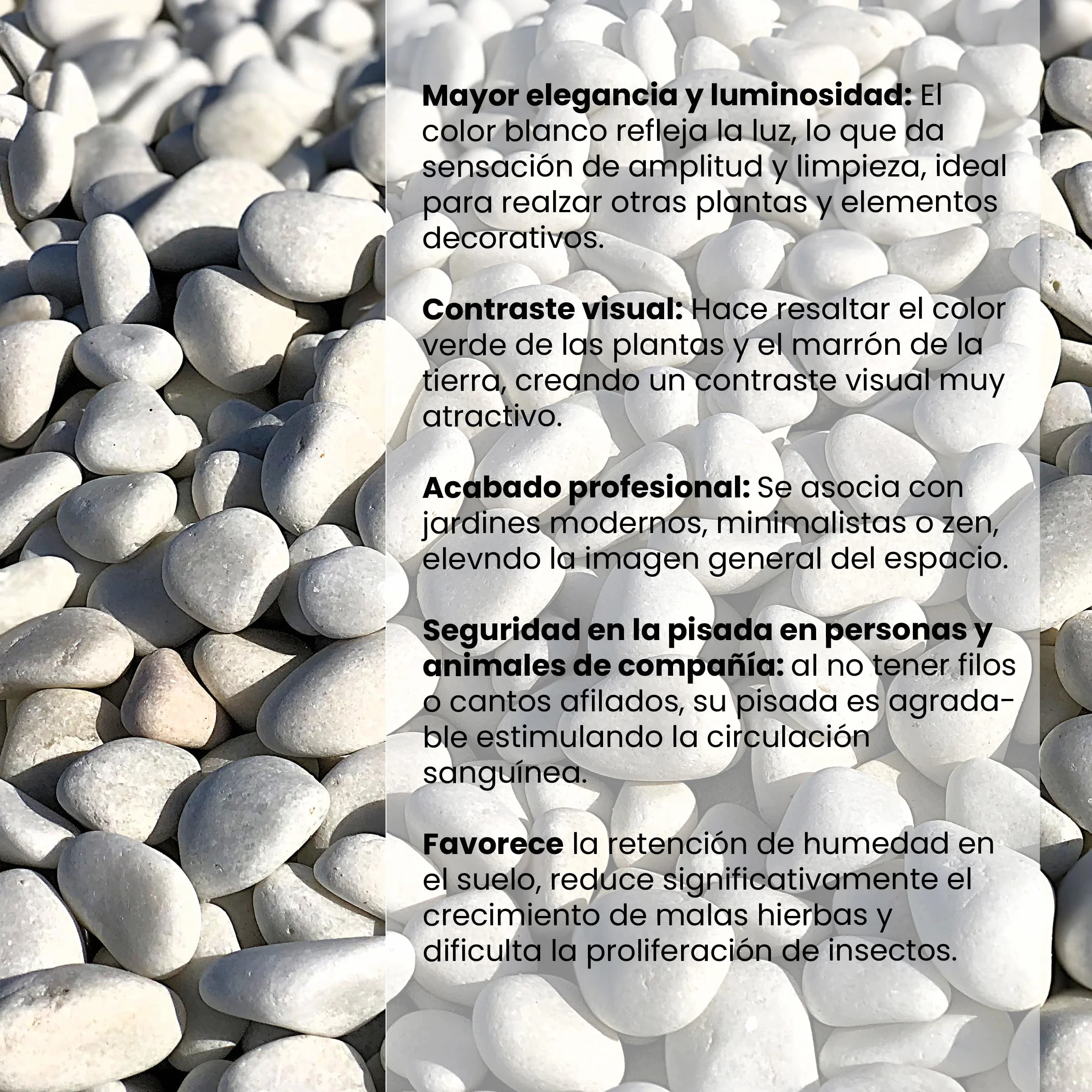 Piedras Decorativas Blancas 12-24mm Saco 20kg Canto Rodado Natural VLC Horticultura