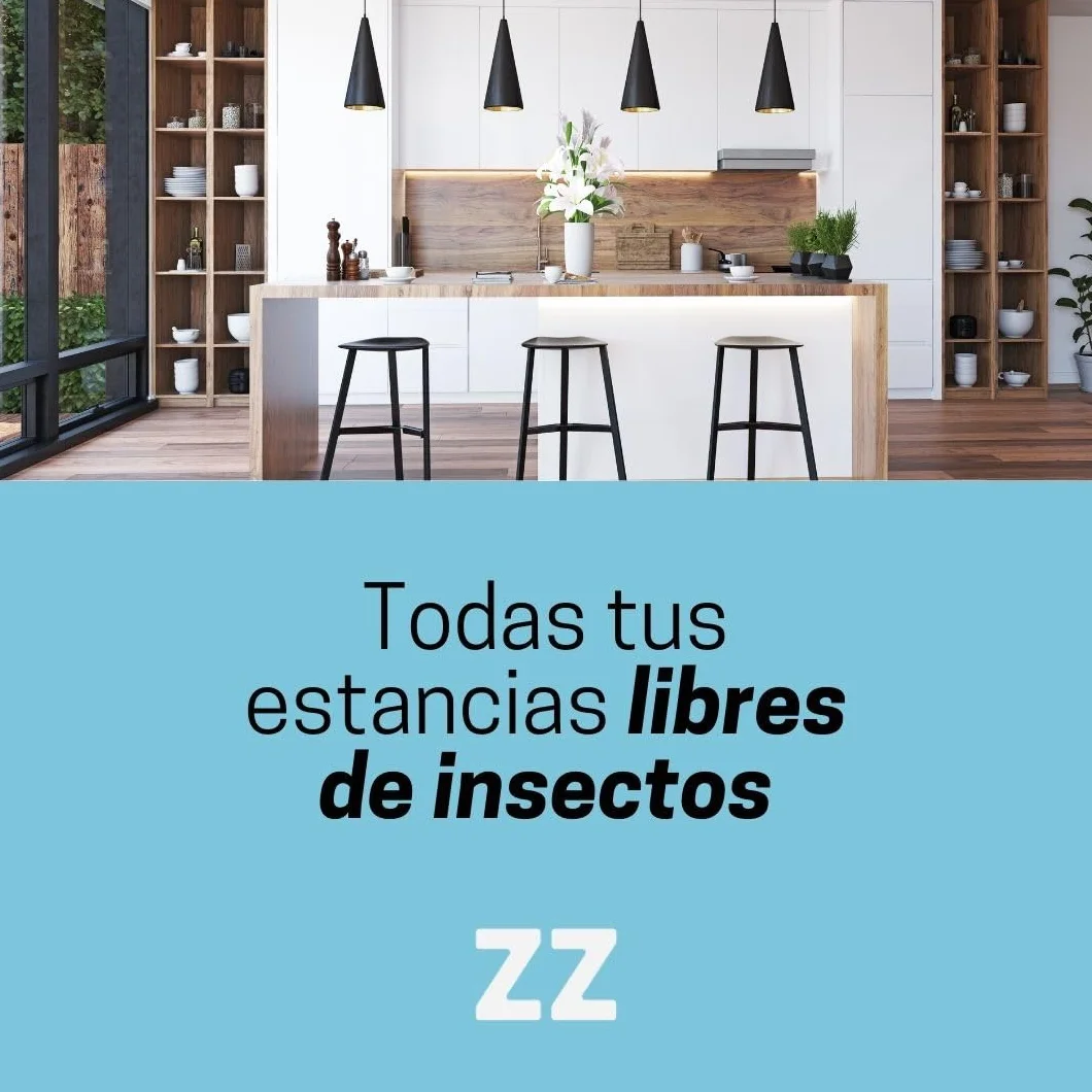 Zelnova Zeltia Polvo Insecticida 250 g Autorizado Uso Doméstico