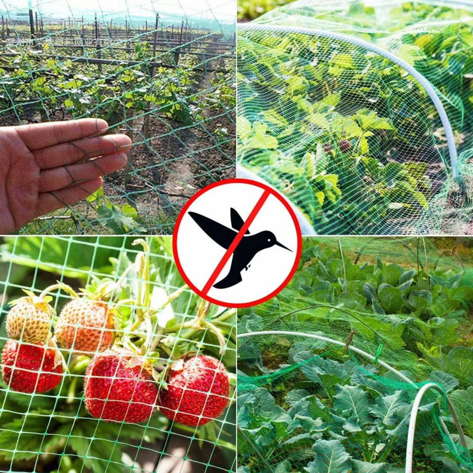 Pollo ProtectBird Malla repelente para aves de corral AntiP Balcón Plantas Frutas Árboles 2x10mGar
